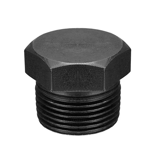 Carbon Steel Hex Head Plug